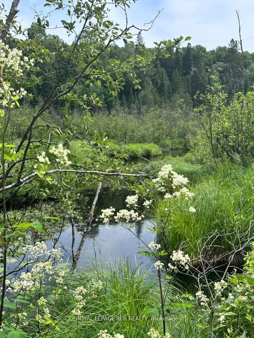 0 Pt Lt 6 Con 9 N/A, Highlands East, ON, K0M1R0 | Card Image