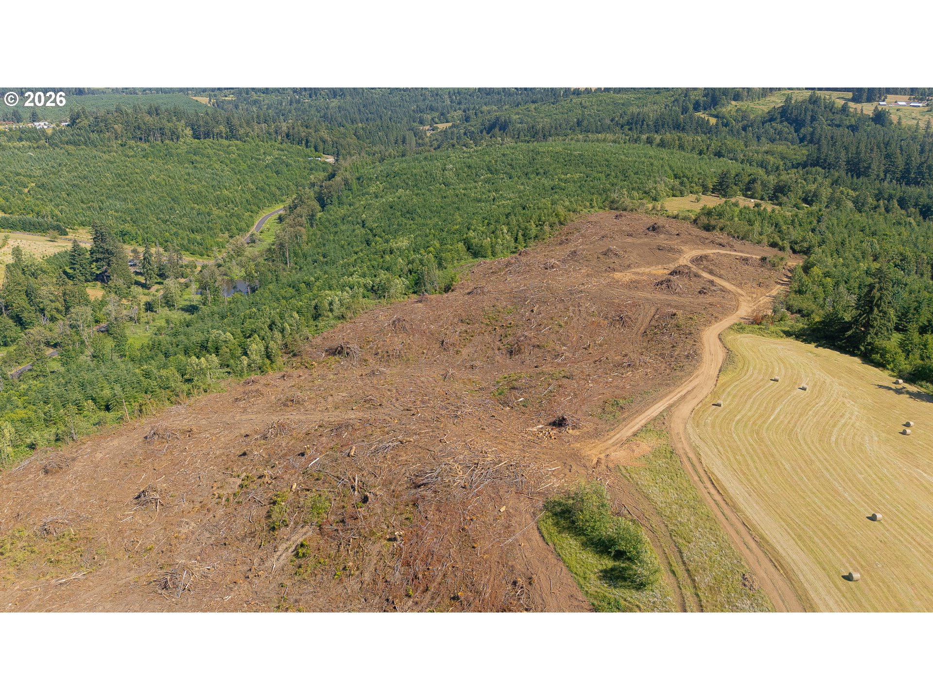 Land in Rainier 5