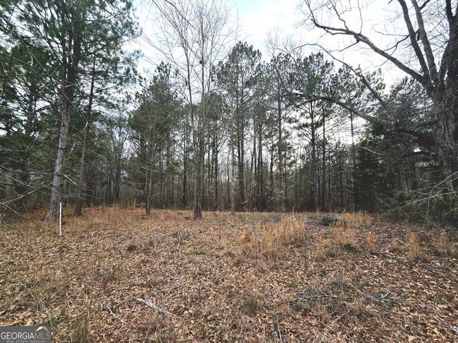0 Willow St, Home with 0 bedrooms, 0 bathrooms and null parking in Stephens GA | Image 14