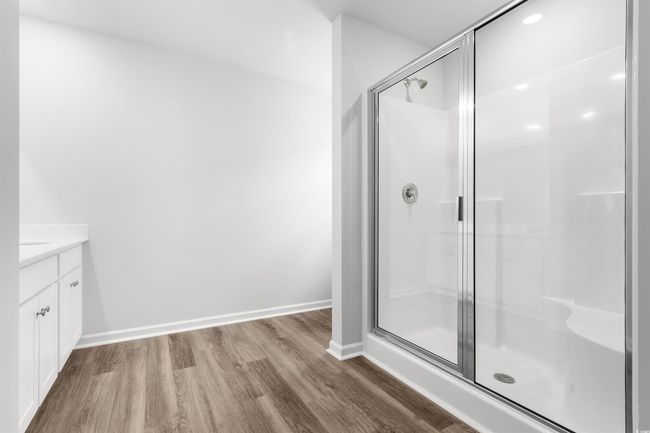 Bathroom with vanity, walk in shower, and wood-type flooring | Image 25