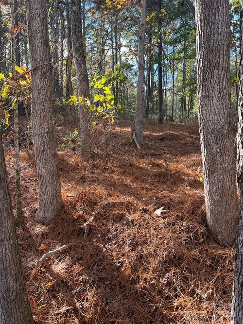 1121 Horton Rd, Wadesboro, NC, 28170 | Card Image