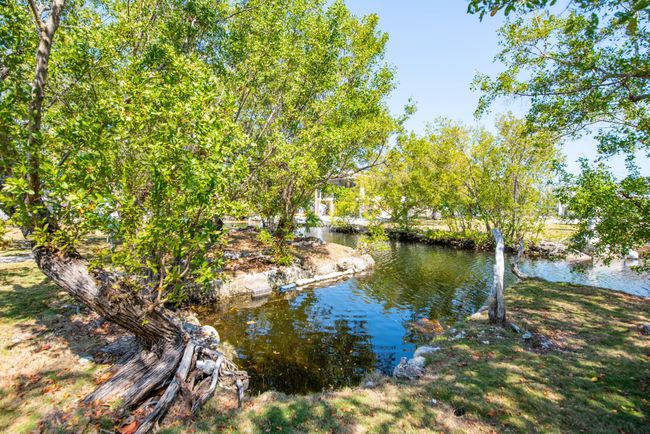 013-30881WittersLane-BigPineKey-FL-33043 | Image 18