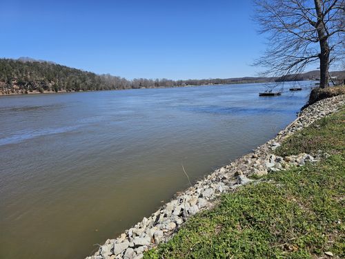 637 River Front Dr, Clifton, TN, 38425-2504 | Card Image