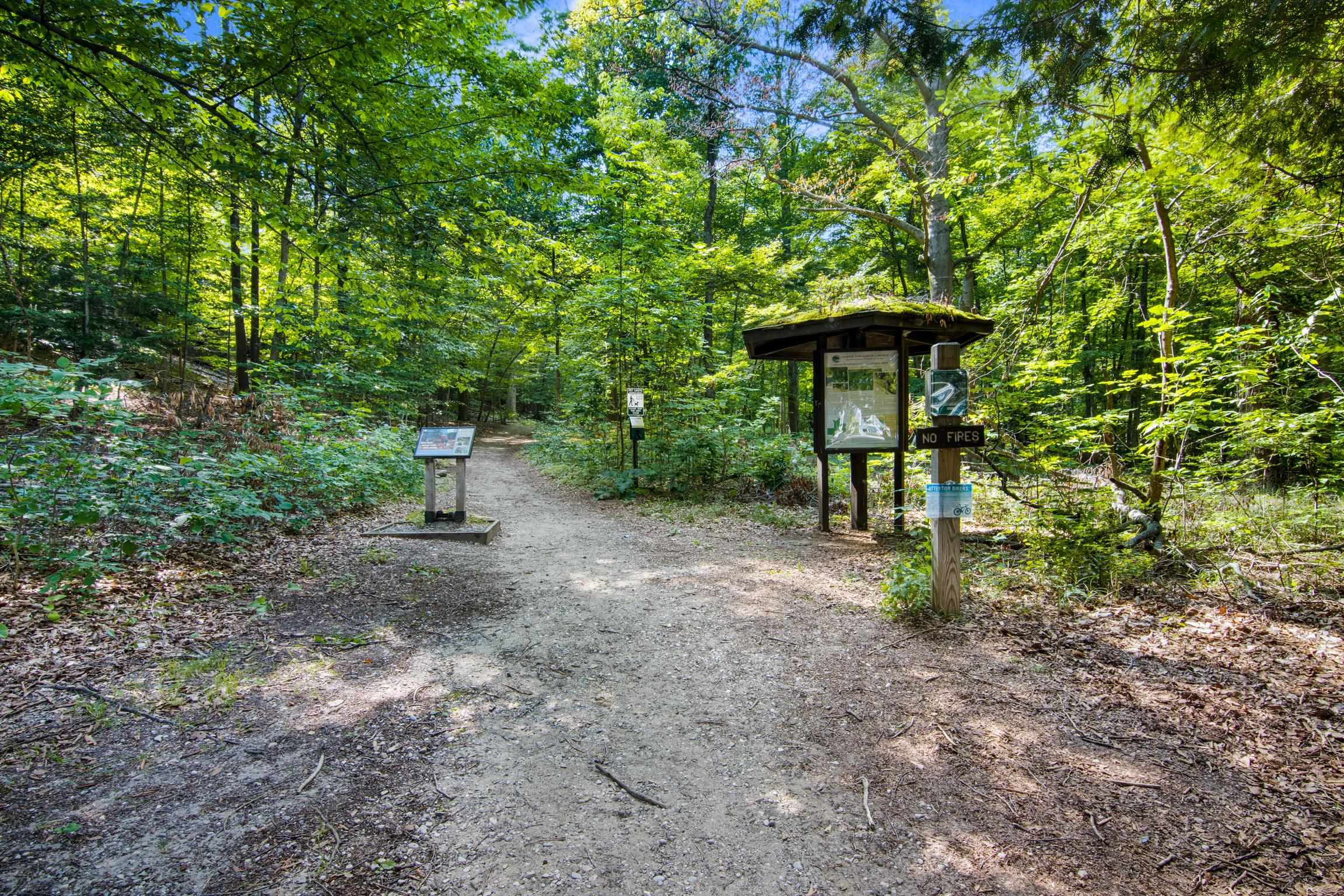 Business Opportunity in Traverse City 4