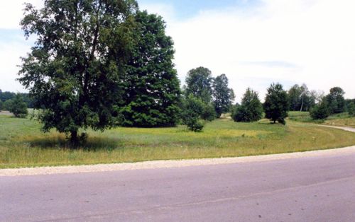 Lot 39 Alden Mdws, Alden, MI, 49612 | Card Image