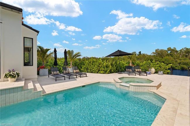 View of pool featuring a patio and a pool with connected hot tub | Image 42