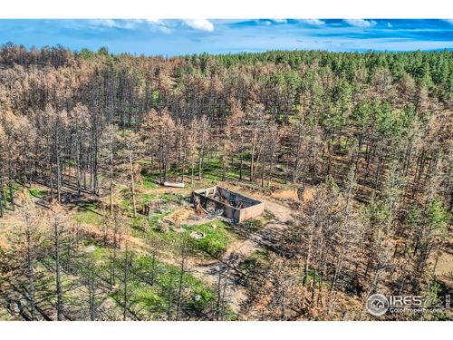 1448 Spruce Mountain Dr, Drake, CO, 80515 | Card Image