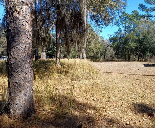 Lot 9 Sw 207th Ct, DUNNELLON, FL, 34431 | Card Image