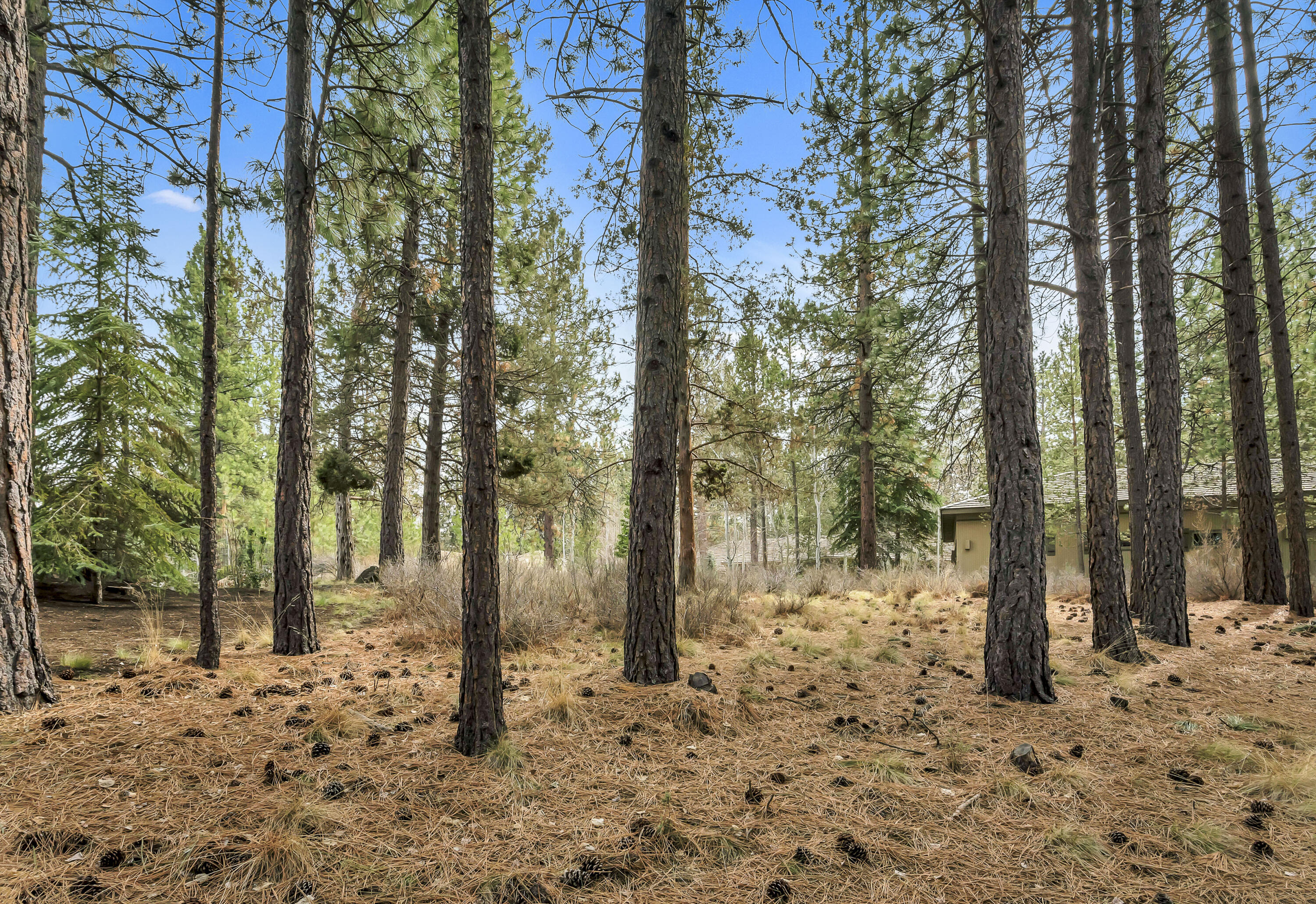 Land in Bend 3