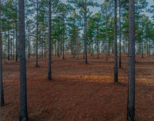 0-163 Overlook Drive, Eatonton, GA, 31024 | Card Image