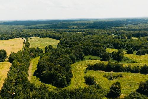 0 Rocky Springs Rd, Saulsbury, TN, 38067 | Card Image