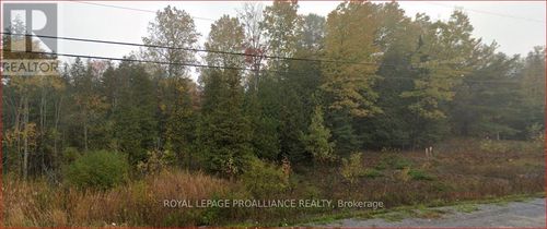 18362 Highway 62, Eldorado, ON, K0K1Y0 | Card Image