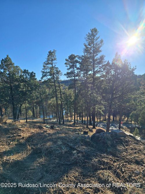 131 Pine Cone Ln, Alto, NM, 88312-9613 | Card Image