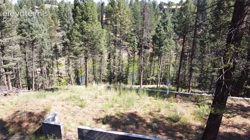 67 Gerka Ln, Florissant, CO, 80816-8001 | Card Image