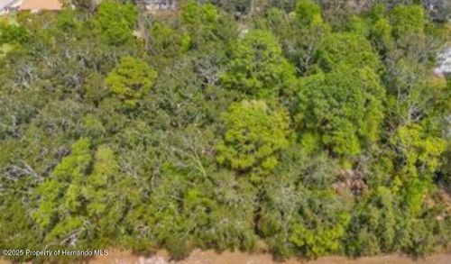 3366 N Annapolis Ave, Hernando, FL, 34442-4713 | Card Image