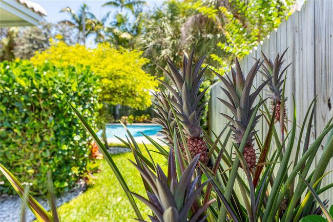 2642 Ne 26 Th Ter, House other with 4 bedrooms, 2 bathrooms and null parking in Lighthouse Point FL | Image 37