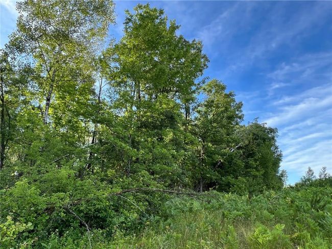 W39XX Frog Creek Rd, Home with 0 bedrooms, 0 bathrooms and null parking in MINONG WI | Image 22