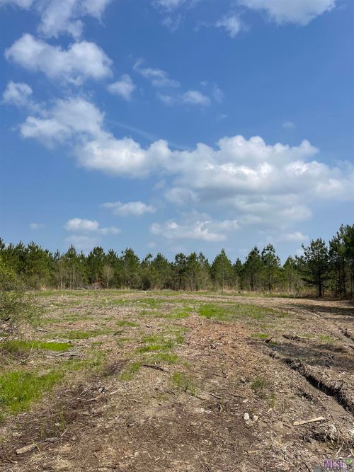 Tract 14 Lorin Wall Rd, Holden, LA, 70744 | Card Image