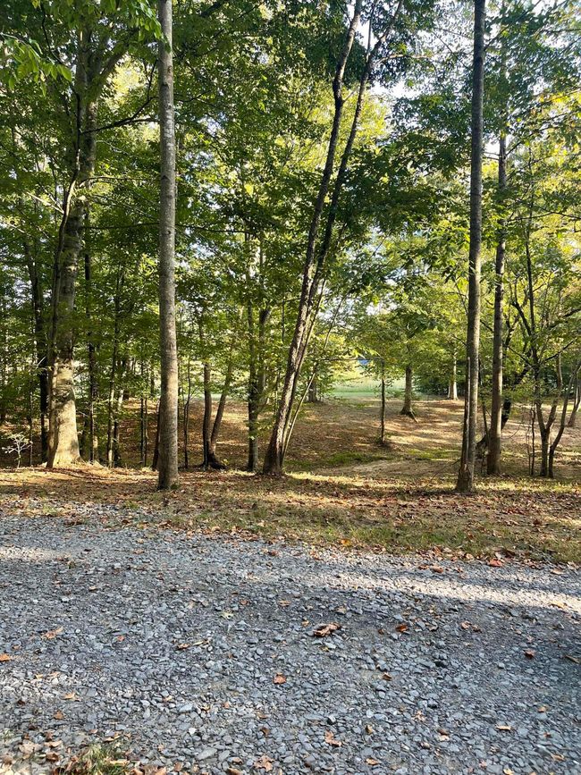 450 County Road 28, House other with 4 bedrooms, 3 bathrooms and null parking in Calhoun TN | Image 104