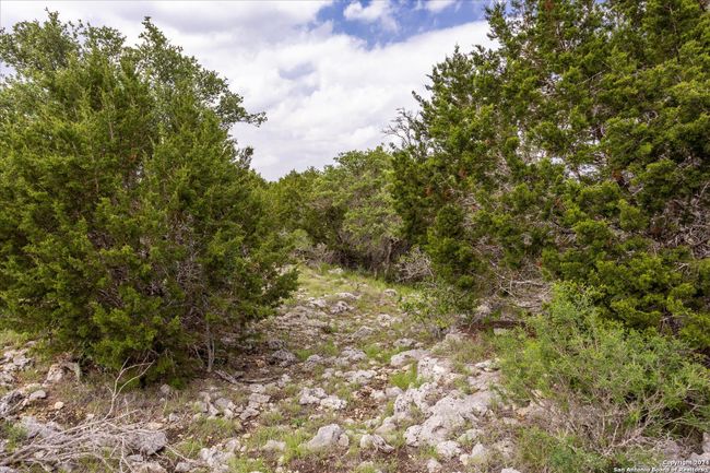 LOT 88 Sabinas Ridge Rd, Home with 0 bedrooms, 0 bathrooms and null parking in Boerne TX | Image 21