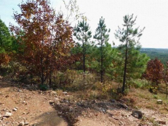 Land in Broken Bow 3