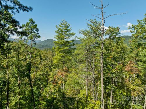 TBD Anson G Betts Rd, Marshall, NC, 28753 | Card Image