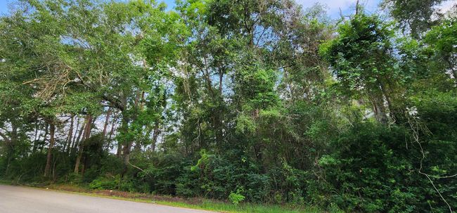 330 County Road 835, Home with 0 bedrooms, 0 bathrooms and null parking in Buna TX | Image 5