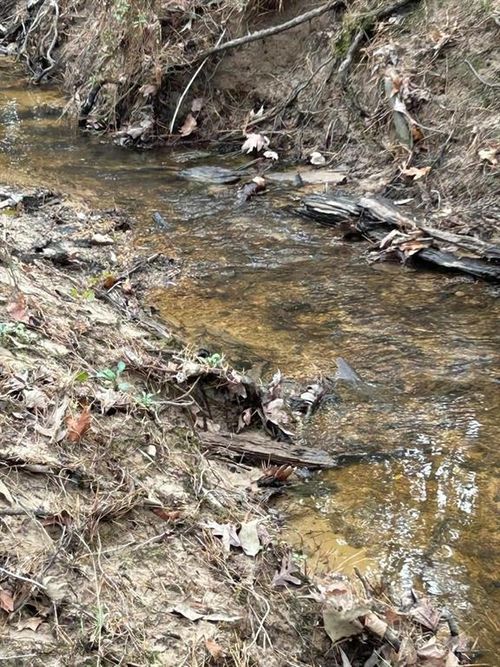 5 Lloyd Walker Rd, Huntington, TX, 75949 | Card Image