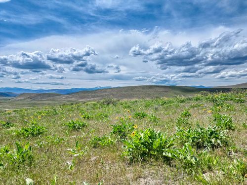 7800 Browns Meadow Rd, Hot Springs, MT, 59845 | Card Image