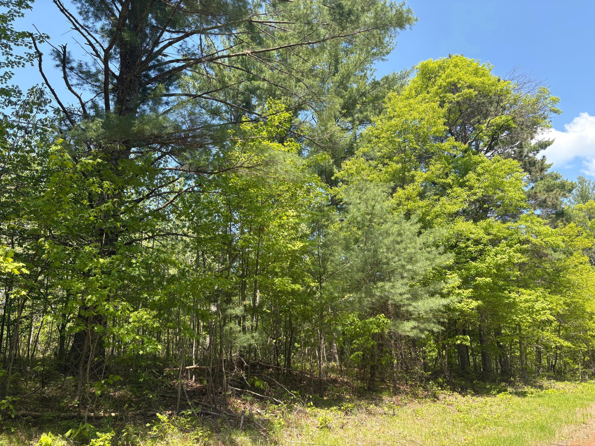 Land in Danbury 4