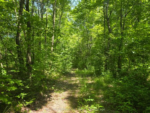 1134 Walker Line Rd, Algonquin Highlands, ON, K0M1S0 | Card Image