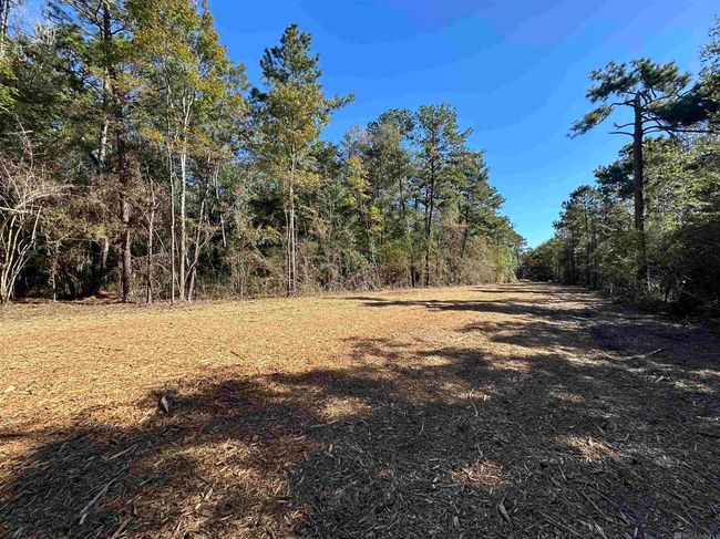 23483 Heritage Acres Ln, Home with 0 bedrooms, 0 bathrooms and null parking in Robert LA | Image 8