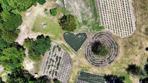 {{alt}} | Card Image