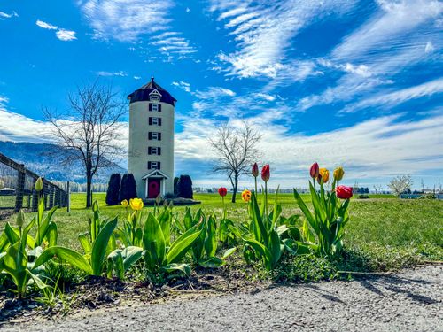 {{alt}} | Card Image