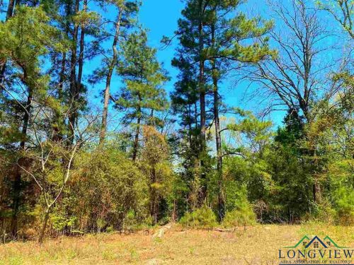 284 Cr 2227, Douglassville, TX, 75560 | Card Image