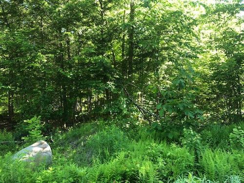 0 Flag Cove Road Road, Bowerbank, ME, 04426 | Card Image