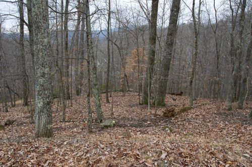 0 Hickory Falls Rd, Blue Ridge, VA, 24064 | Card Image