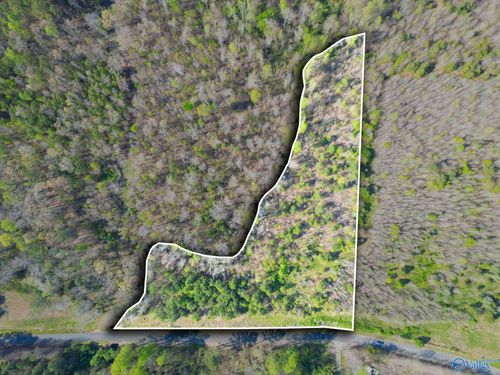 4 acres County Road 346, Pisgah, AL, 35765 | Card Image