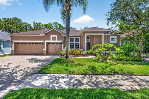 10737 Ayrshire Drive, TAMPA, FL, 33626 | Card Image