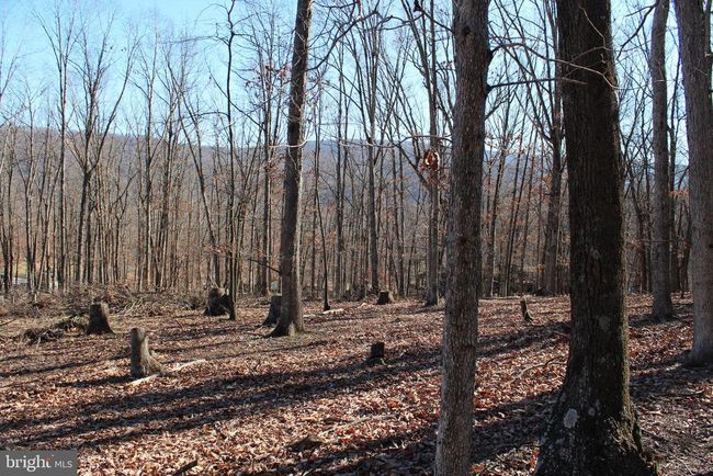 141 Hillcrest Dr, Home with 0 bedrooms, 0 bathrooms and null parking in New Creek WV | Image 15