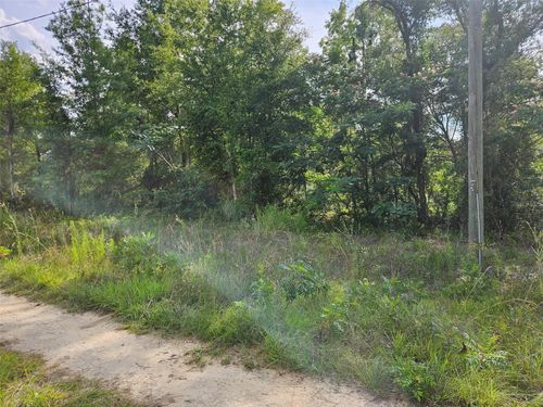 TBD Ne 153rd Ave, WILLISTON, FL, 32696 | Card Image