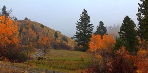 187 Edwards Gulch Rd, Drummond, MT, 59832 | Card Image