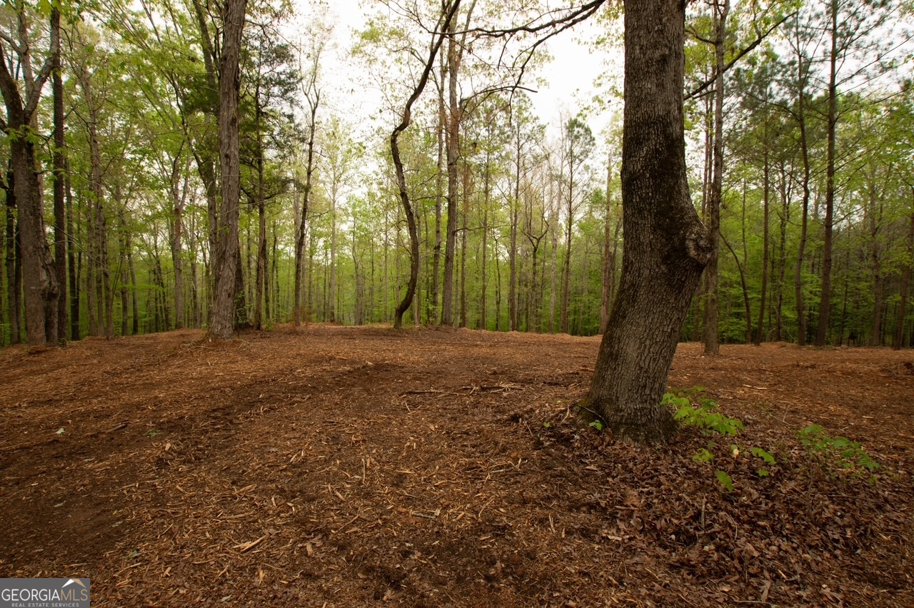 Land in Forsyth 4