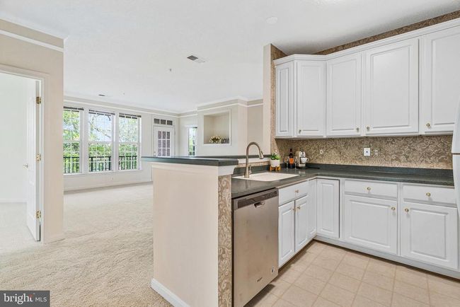 APT-202 - 12161 Abington Hall Pl, Condo with 2 bedrooms, 2 bathrooms and null parking in RESTON VA | Image 21