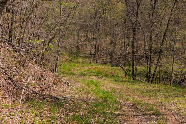 9999 Highway 52 E, Home with 0 bedrooms, 0 bathrooms and null parking in Beattyville KY | Image 21