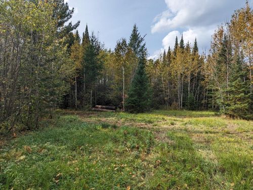 TBD Deer River Line Rd, Littlefork, MN, 56653 | Card Image