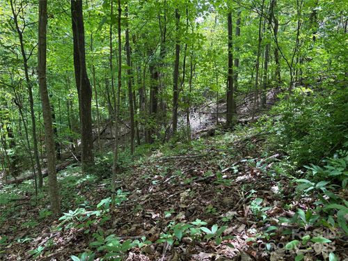 1-TBD Adams Street, Waynesville, NC, 28786 | Card Image