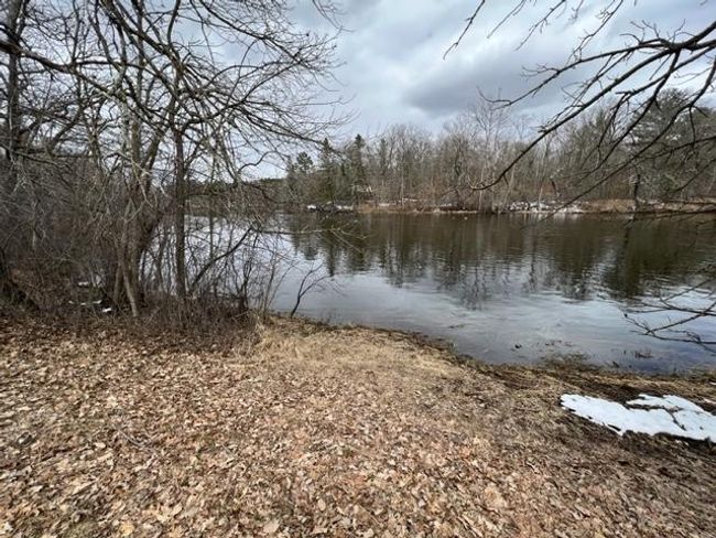 River Bank Spring Time.jpg | Image 28
