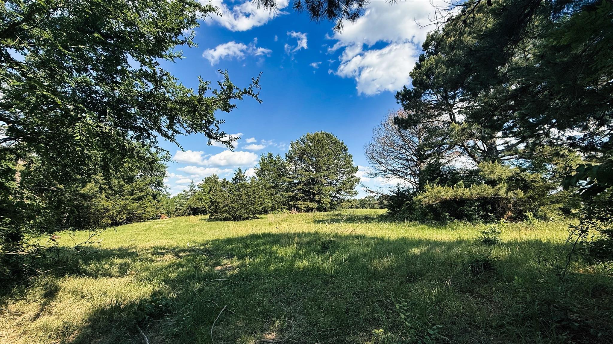 Land in Henderson 4