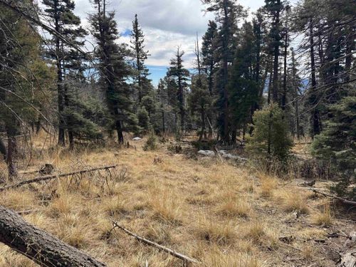 Lot 1356 Skyview Way, Angel Fire, NM, 87710 | Card Image